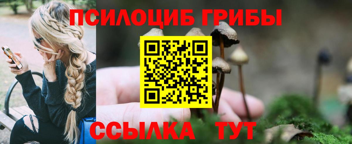 Галлюциногенные грибы прущие грибы  Галлюциногенные грибы MAGIC MUSHROOMS  наркота  Вход с VPN  Люберцы 